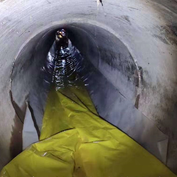 兰坪管道光固化修复